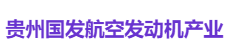 贵州国发航空发动机产业
