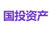 国投资产