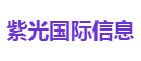 紫光国际信息
