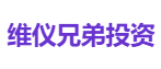 维仪兄弟投资