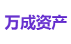 万成资产
