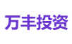 万丰投资