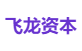 飞龙资本