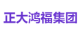 正大鸿福集团