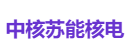 中核苏能核电