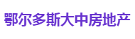 鄂尔多斯大中房地产