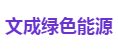 文成绿色能源