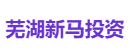 芜湖新马投资