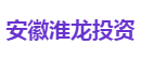 安徽淮龙投资