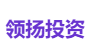 领扬投资