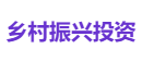 乡村振兴投资