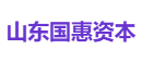 山东国惠资本