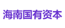 海南国有资本