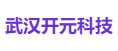 开元科技