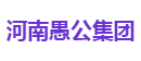 河南愚公集团