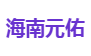海南元佑