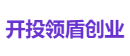 开投领盾创业