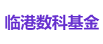 临港数科基金