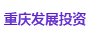 重庆发展投资