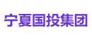宁夏国投集团