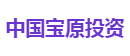 中国宝原投资