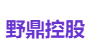 野鼎控股