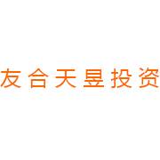 友合天昱投资