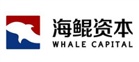 海鲲资本