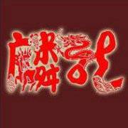 麟龙股份