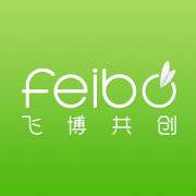 飞博共创