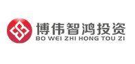 博伟智鸿投资