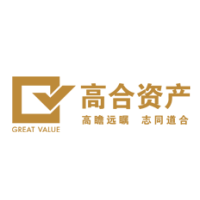 广东高合资产