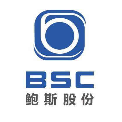 鲍斯能源