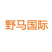 野马国际