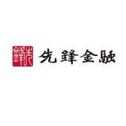 中国先锋金融集团