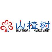 山楂树资本