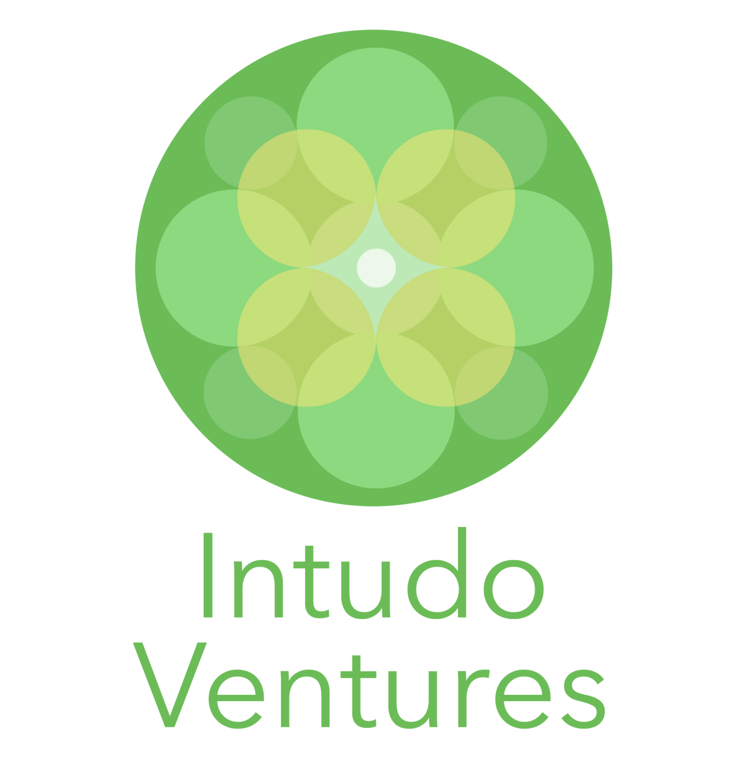 Intudo Ventures