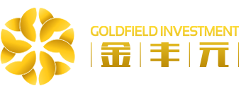 金丰元投资