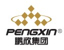 鹏欣集团
