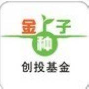 金种子创投