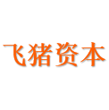 飞猪资本